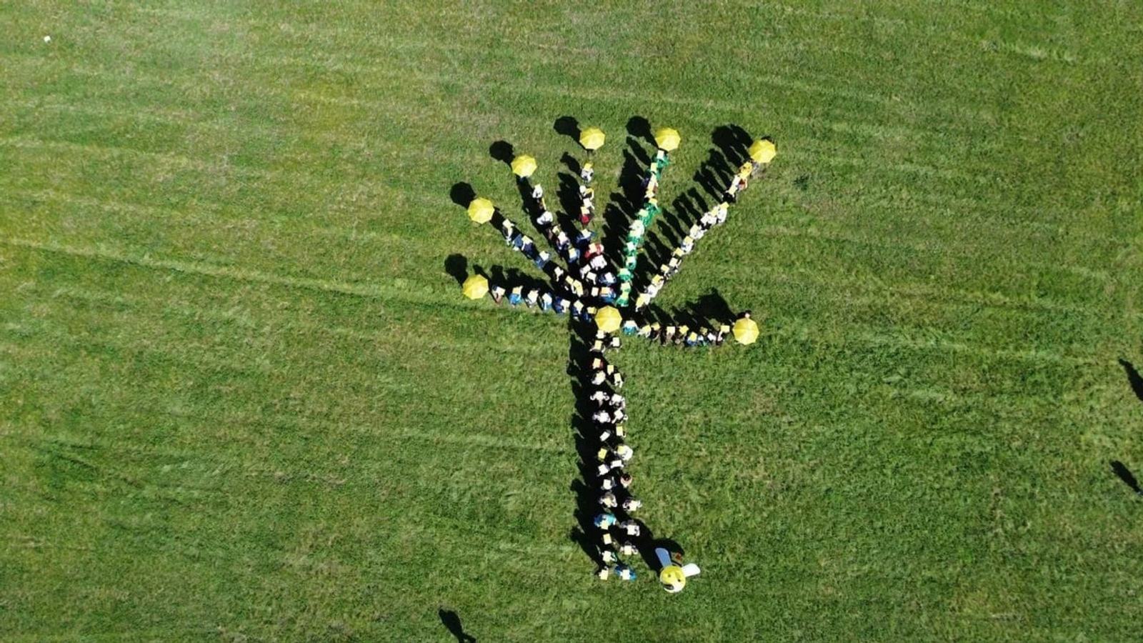 "Вода России": Уфа вновь принимает участие в масштабной экологической акции