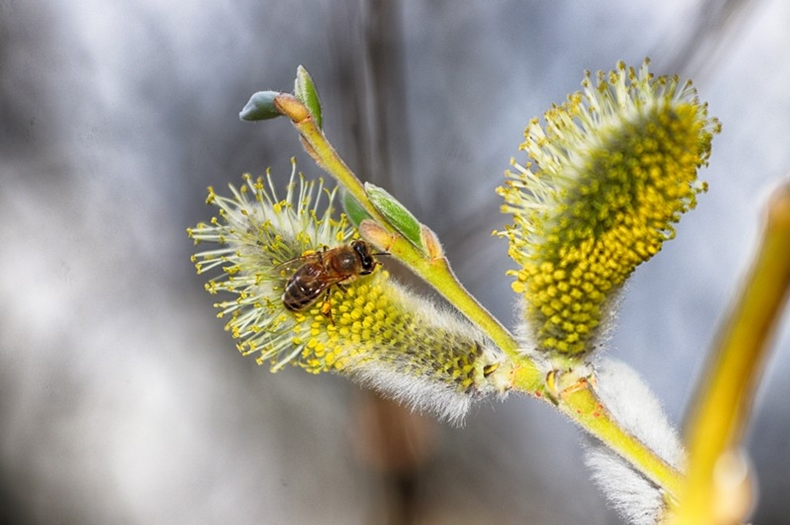 В Башкирии грядёт мощное похолодание: прогноз на ближайшее время