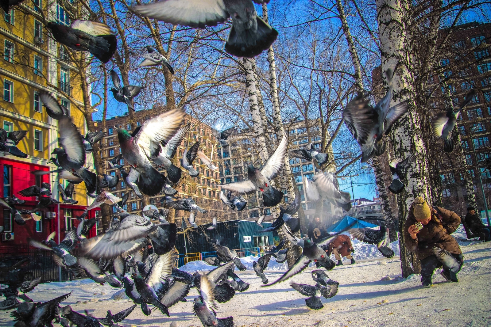 Зима даёт передышку: Башкирию ждёт заметное потепление