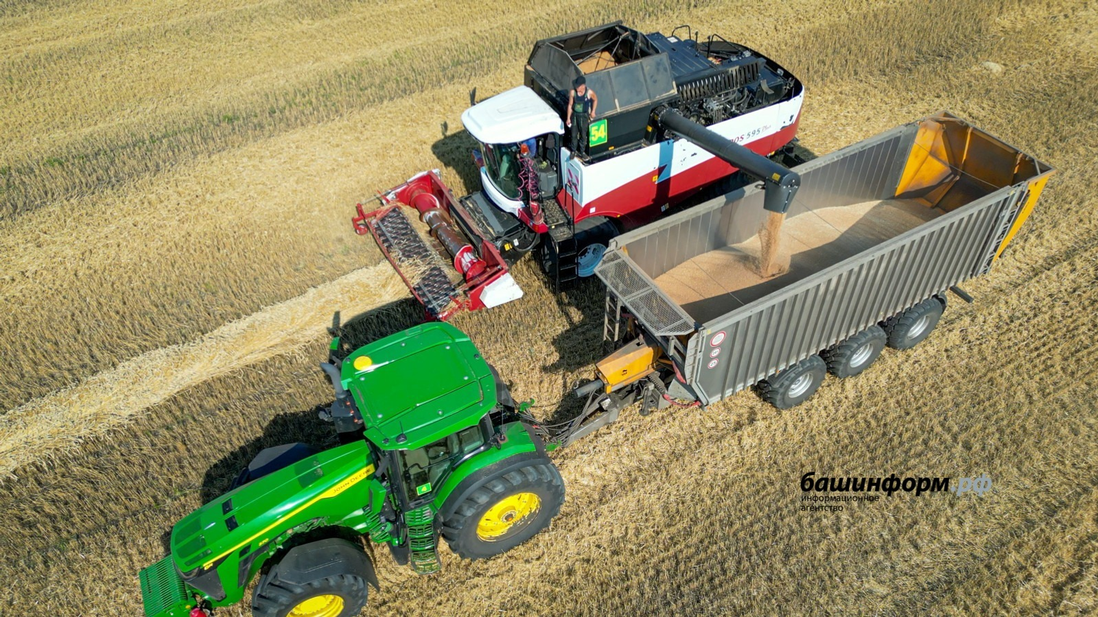 Башкортостан наращивает производство сельхозпродукции: рост превысил 5%