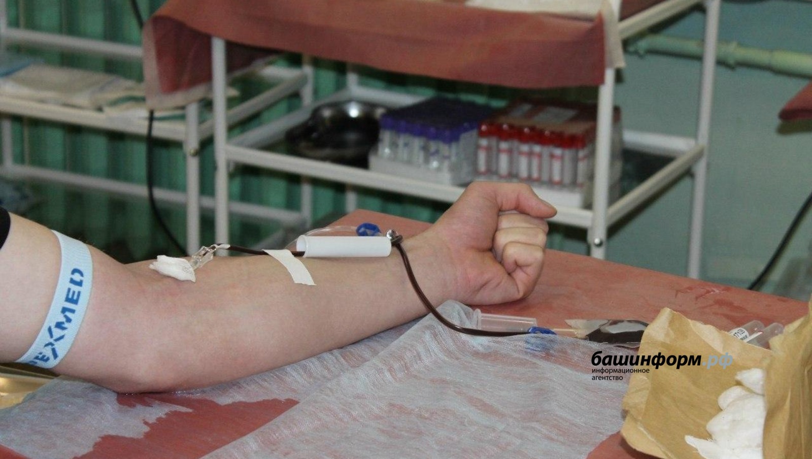 Почётным донорам — 19 498 рублей в год: как получить выплату