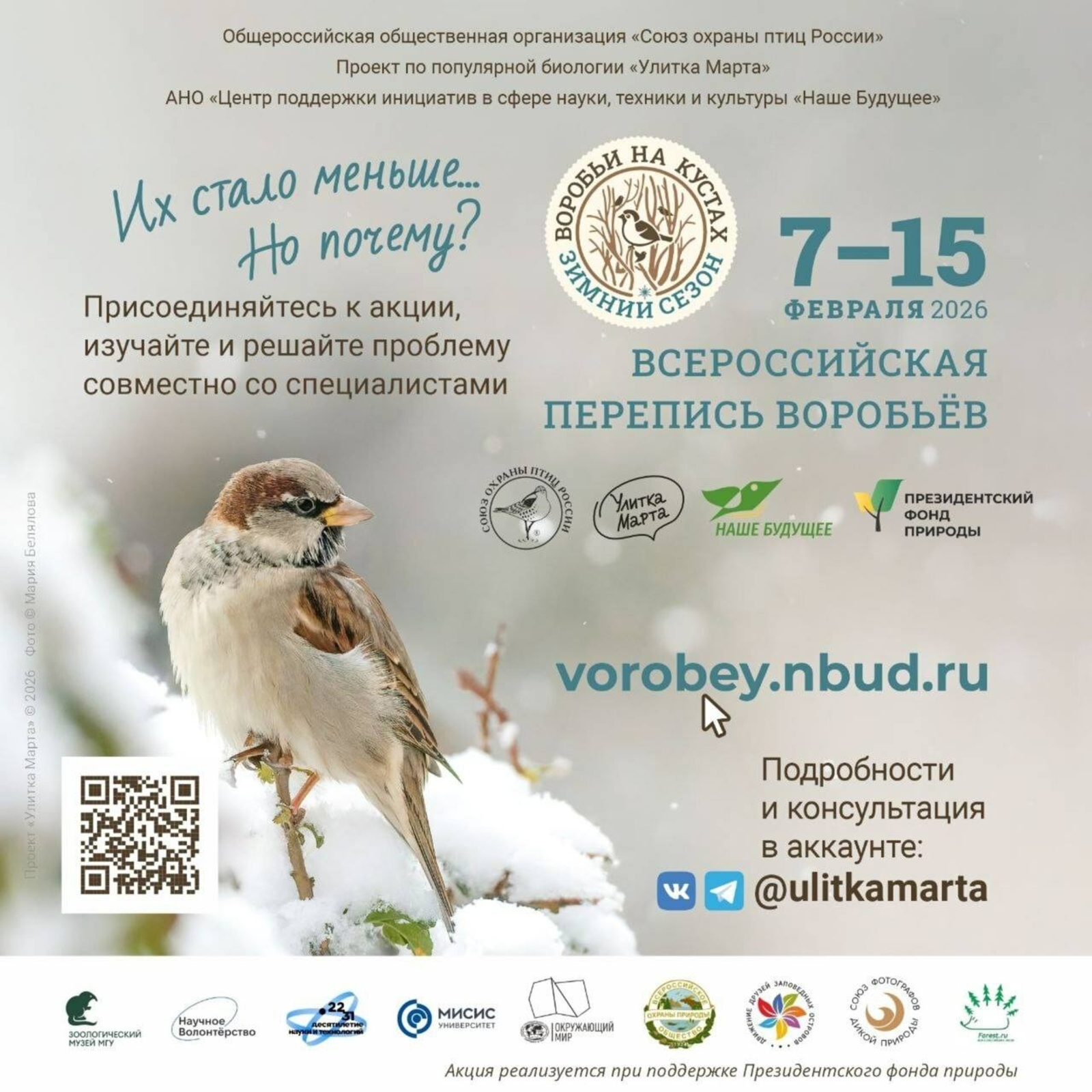 Жители Башкирии могут присоединиться к Всероссийской переписи воробьёв