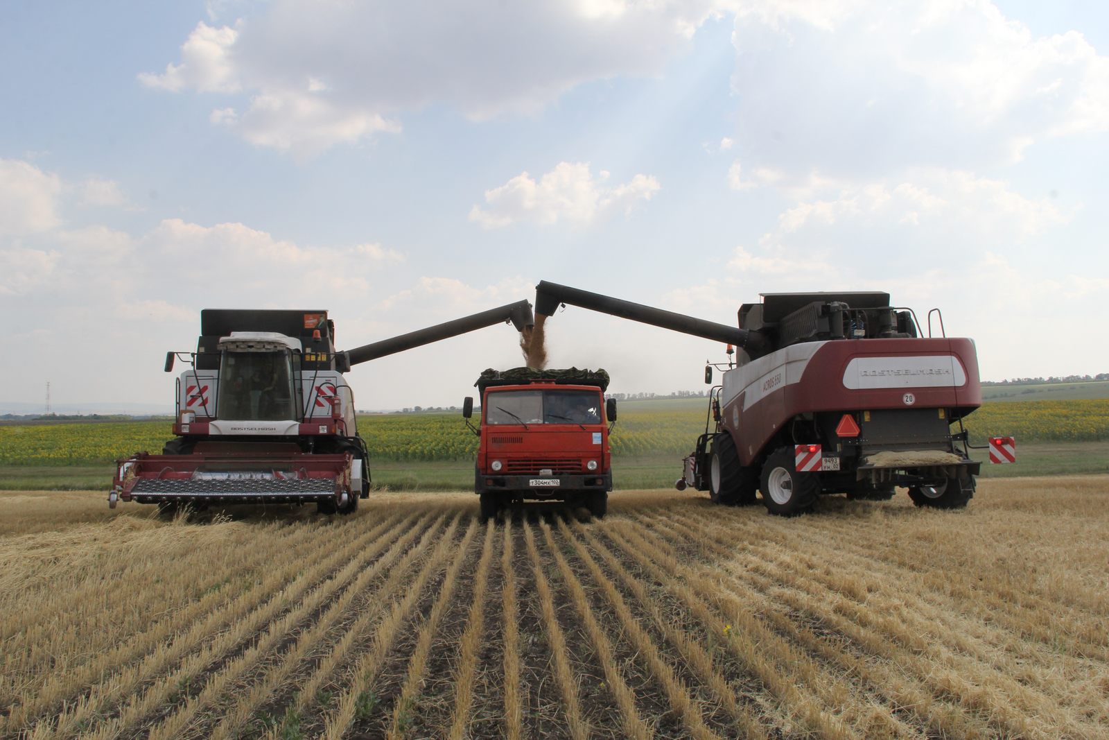 Производство зерна в Башкирии хотят увеличить почти на 30% за два года