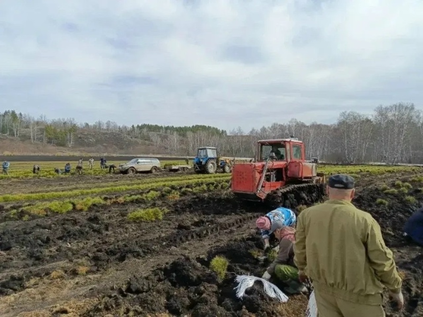 Радий Хабиров рассказал о лесоводах республики