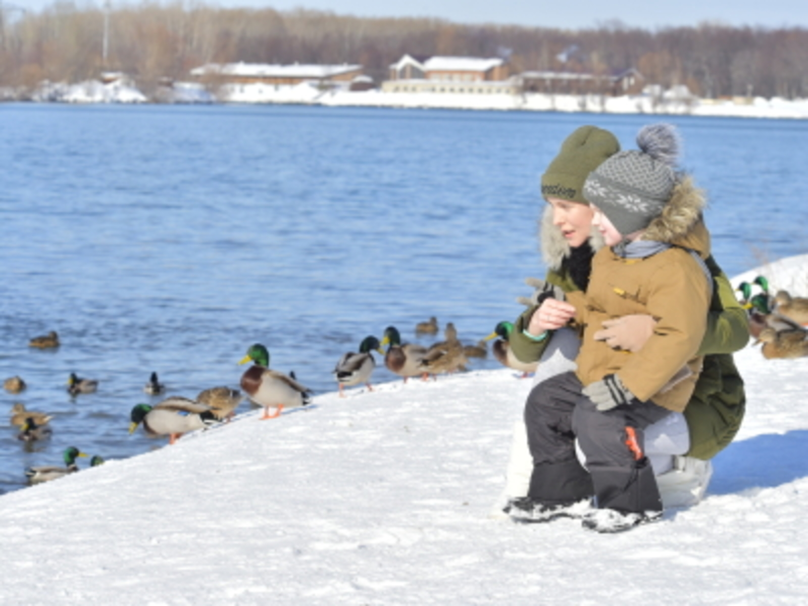 Ранняя активность клещей: что нужно знать