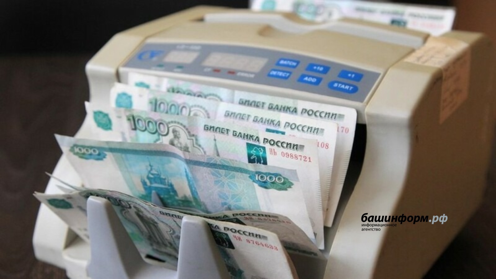 Чистая прибыль крупного бизнеса Башкирии в январе-июне выросла на 50%