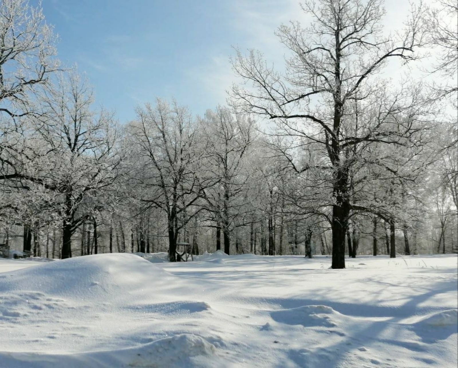 Ошибку допустят многие: что нельзя делать 5 февраля по гороскопу
