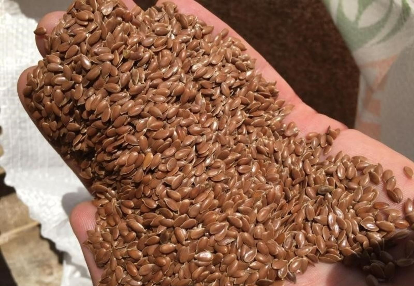 Башкирский лен отправился в Казахстан