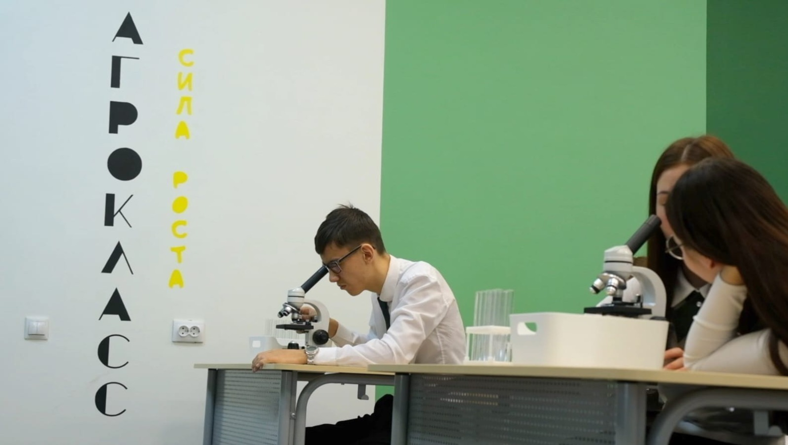 На развитие кадрового потенциала АПК Башкирии направят 1 млрд рублей