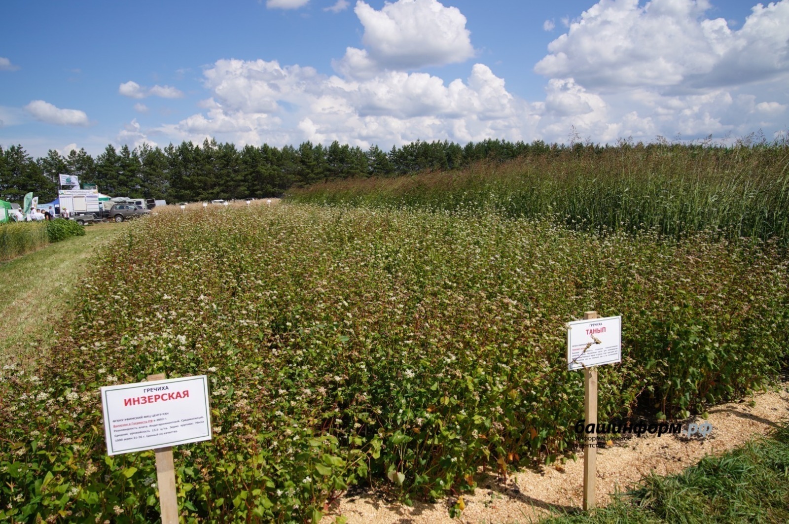 Башкирские крупы вышли на рынок Швейцарии