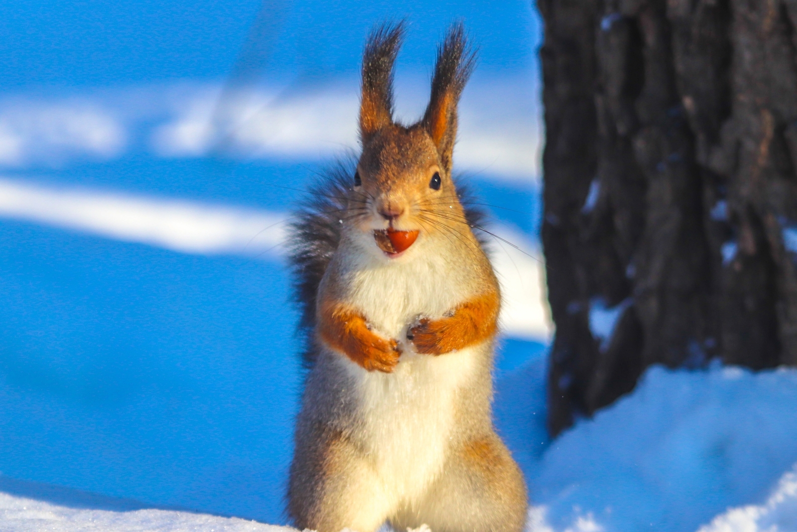 Погода с сюрпризами: Башкирию ждут снегопады и перепады температур