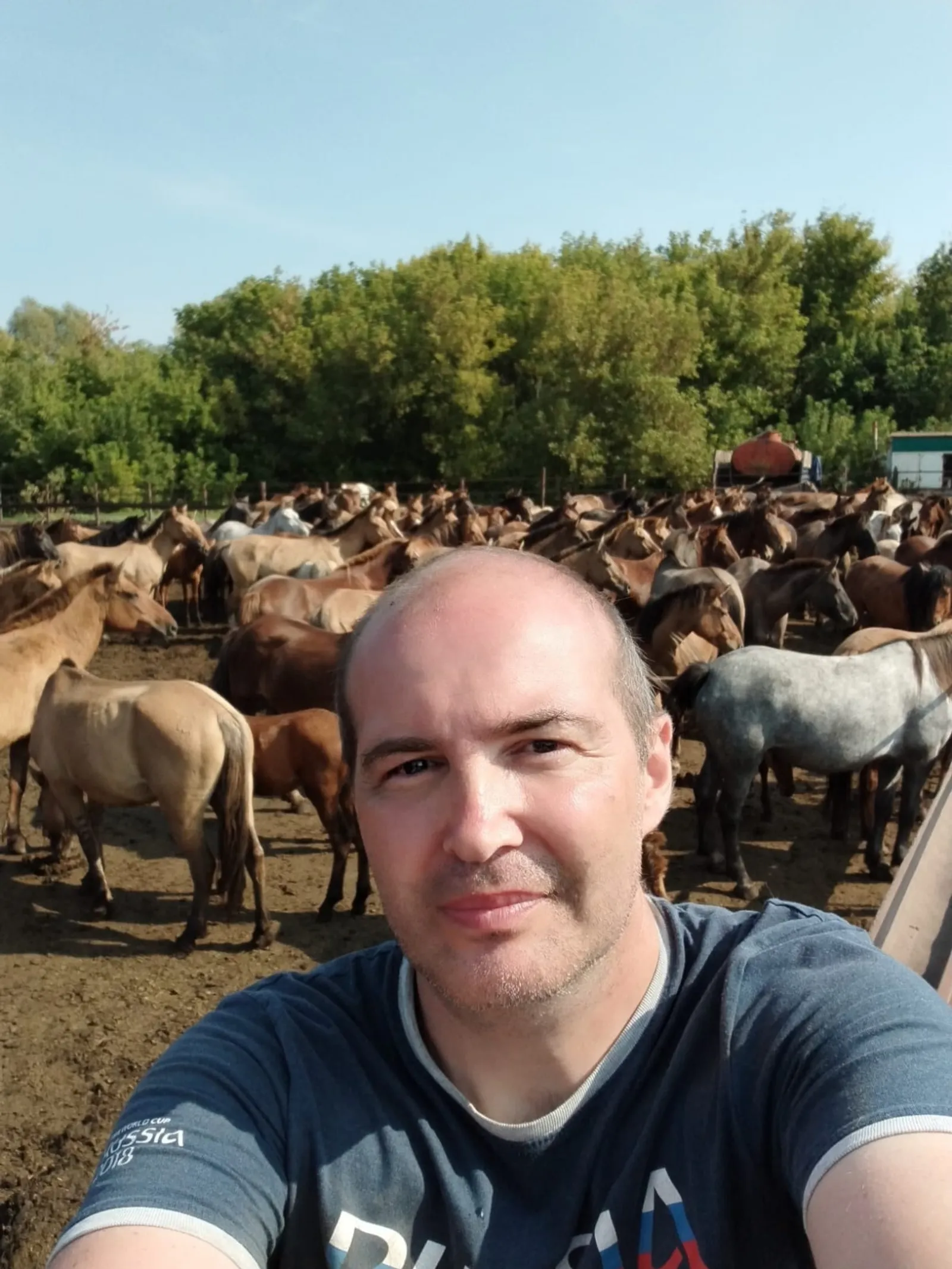Сохранение уникальной породы лошадей - вклад в экономику Башкирии