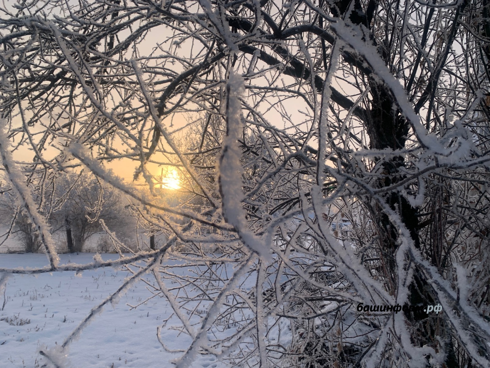 Крещенские морозы: какая погода будет на праздник в Башкирии?