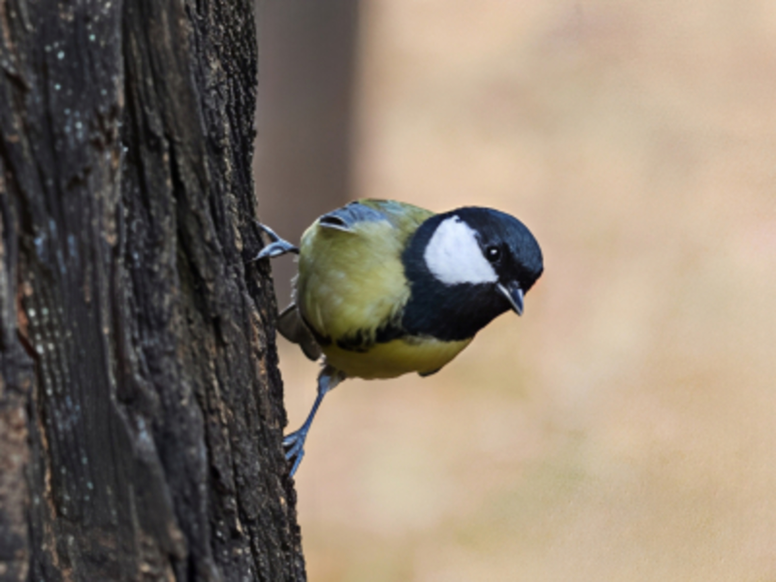 Башкирию накроют аномальные морозы