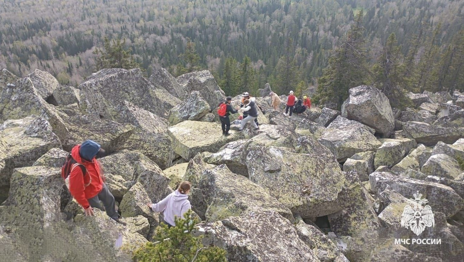 Медведь устроил охоту на туристов в горах Башкирии