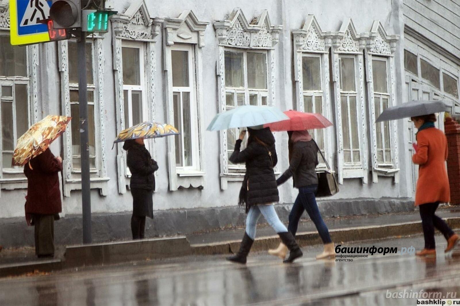 На этой неделе жителей Башкирии ждут первые весенние дожди