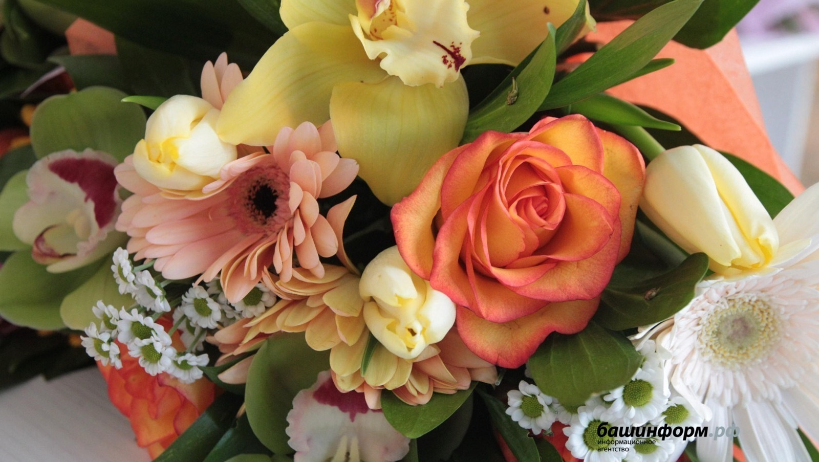 Какие подарки к 1 сентября хотели бы получить учителя Башкирии