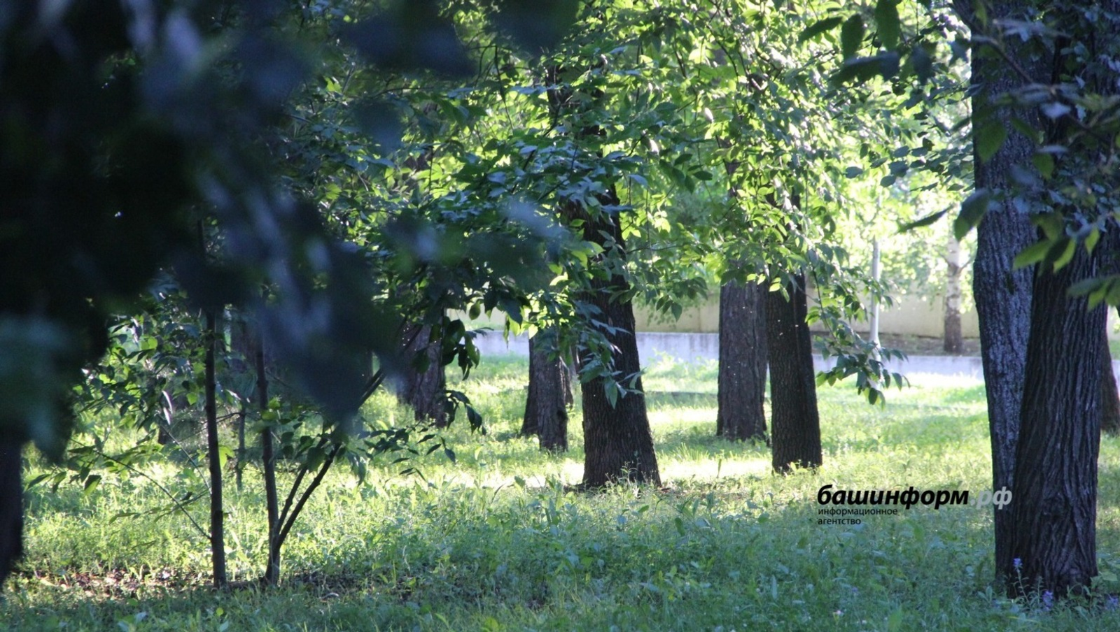 В одном из городов Башкирии благоустраивают сразу три общественные территории