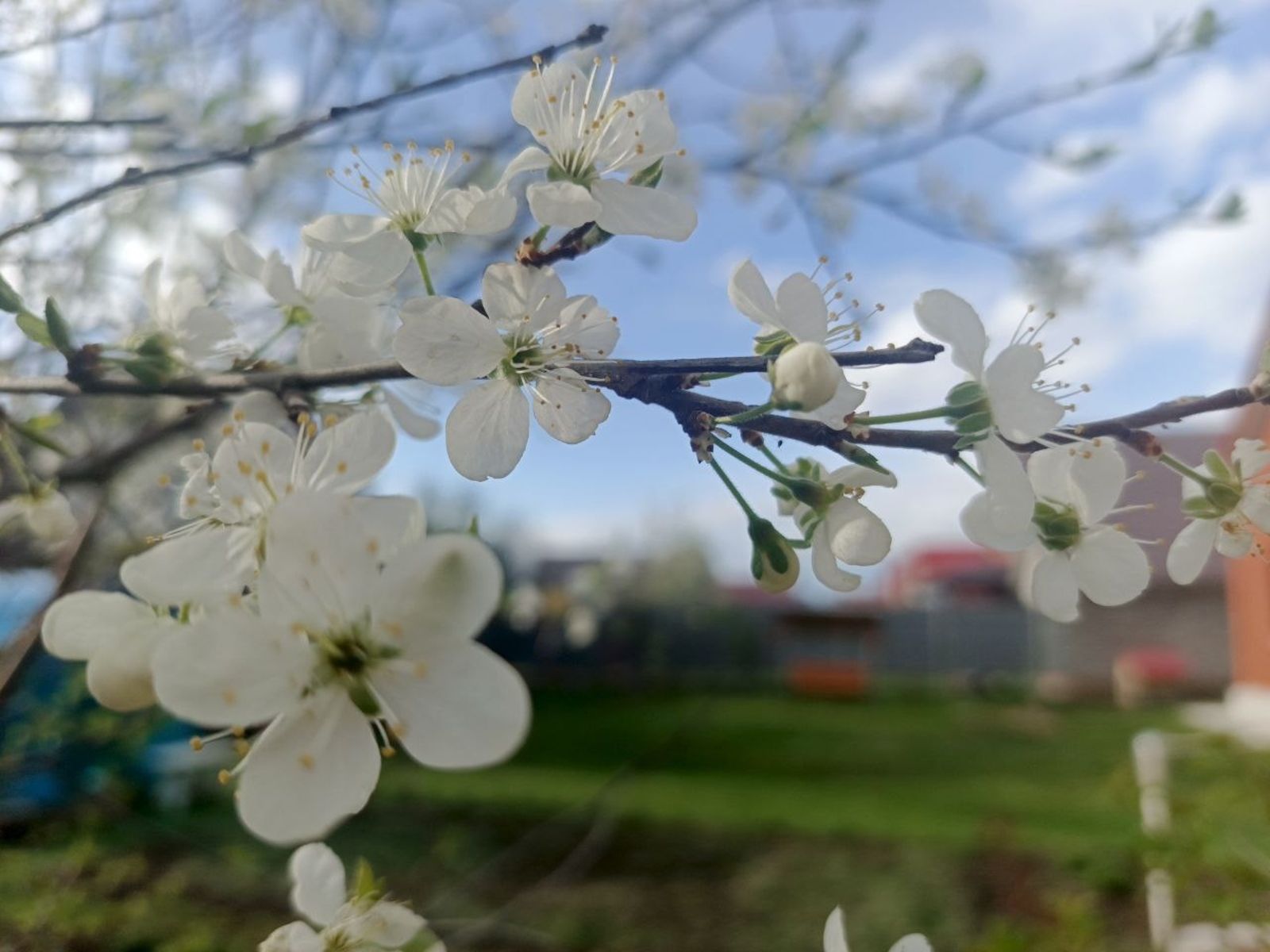 Майские выходные изменили: как россияне будут отдыхать в 2026 году