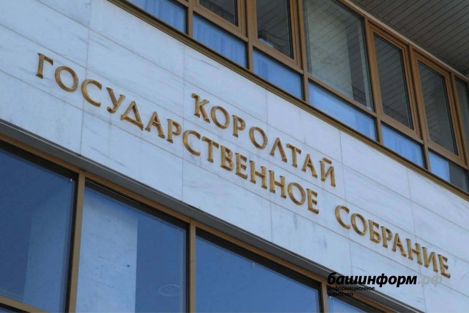 Что ждёт владельцев бойцовских собак в Башкирии? Будут разработаны новые правила
