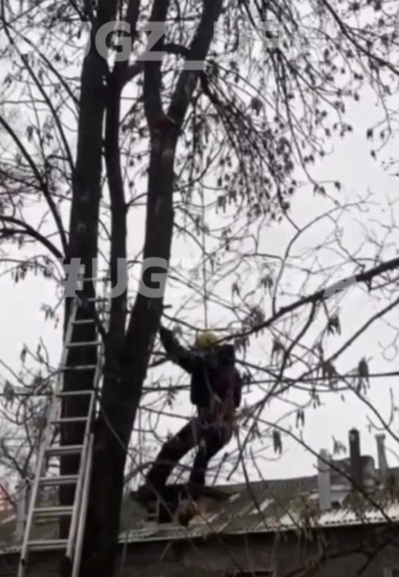 В Уфе на помощь кошке пришёл отряд спасателей