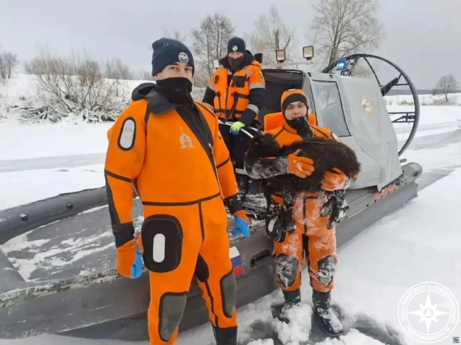 В Башкирии в озере Узеть утонули 780 овец, выжила одна