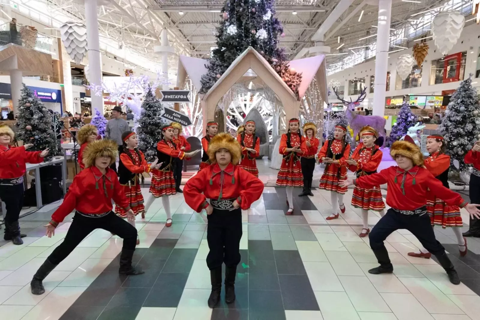 День башкирского языка объединил гостей в ТРЦ МЕГА