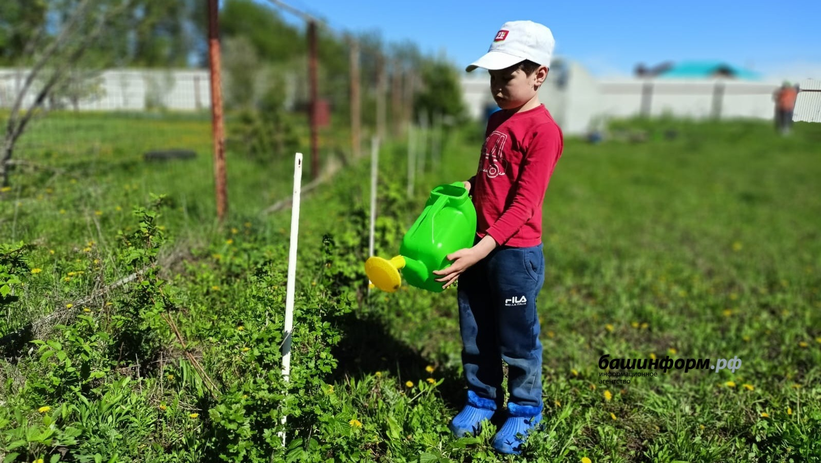 В Башкирии дан старт Дню садовода и новым мерам поддержки