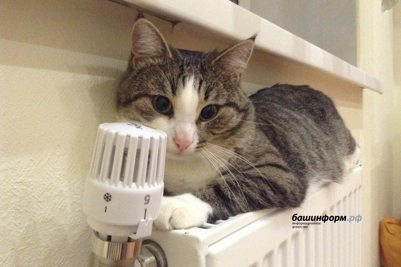 В Уфе восстановлено теплоснабжение после коммунальной аварии