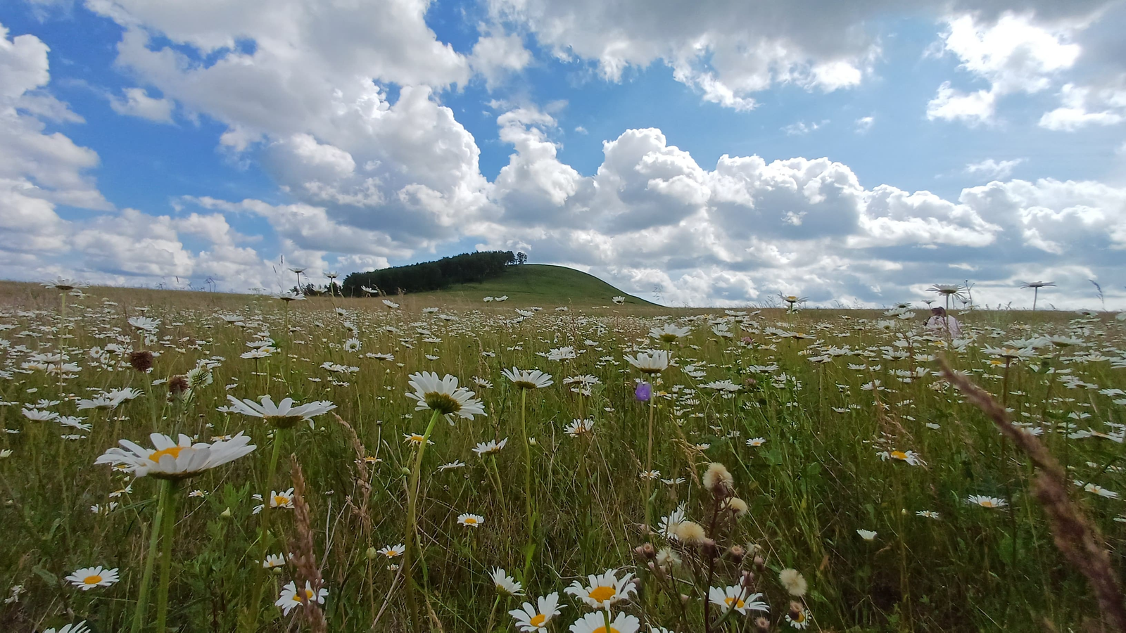 Лето-2026 в Башкирии будет жарче обычного