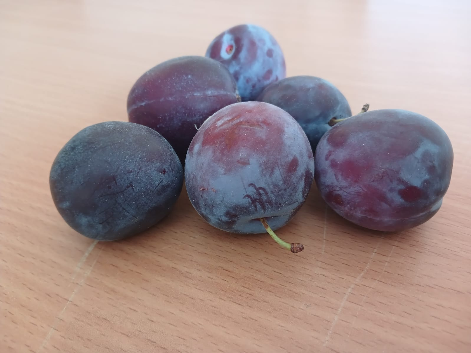 Башкирия выявила в сливах из Узбекистана опасный фитопатоген