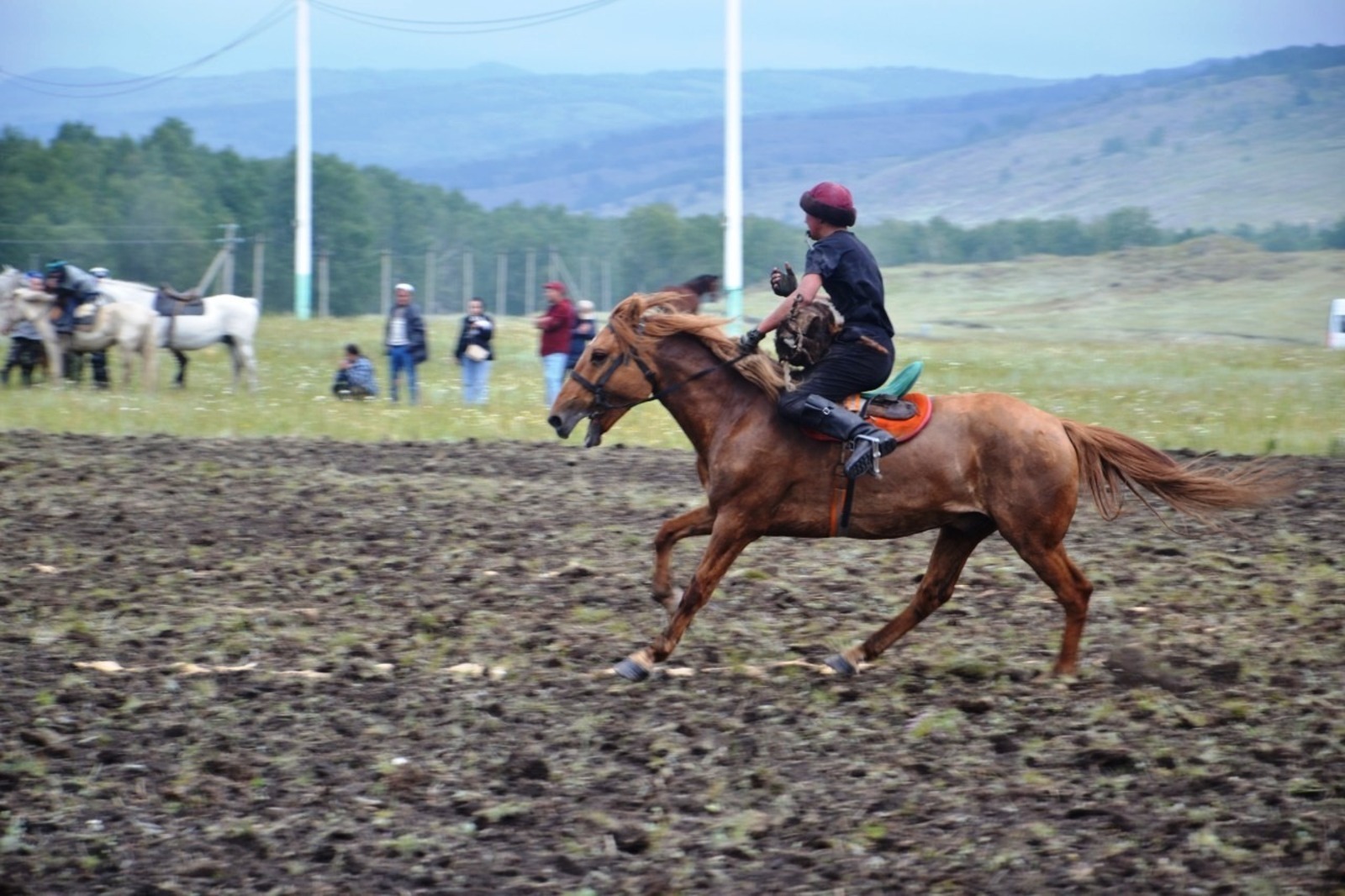«Для башкир лошадь – священное животное», – напоминает гостья фестиваля Гульшат Шаймарданова