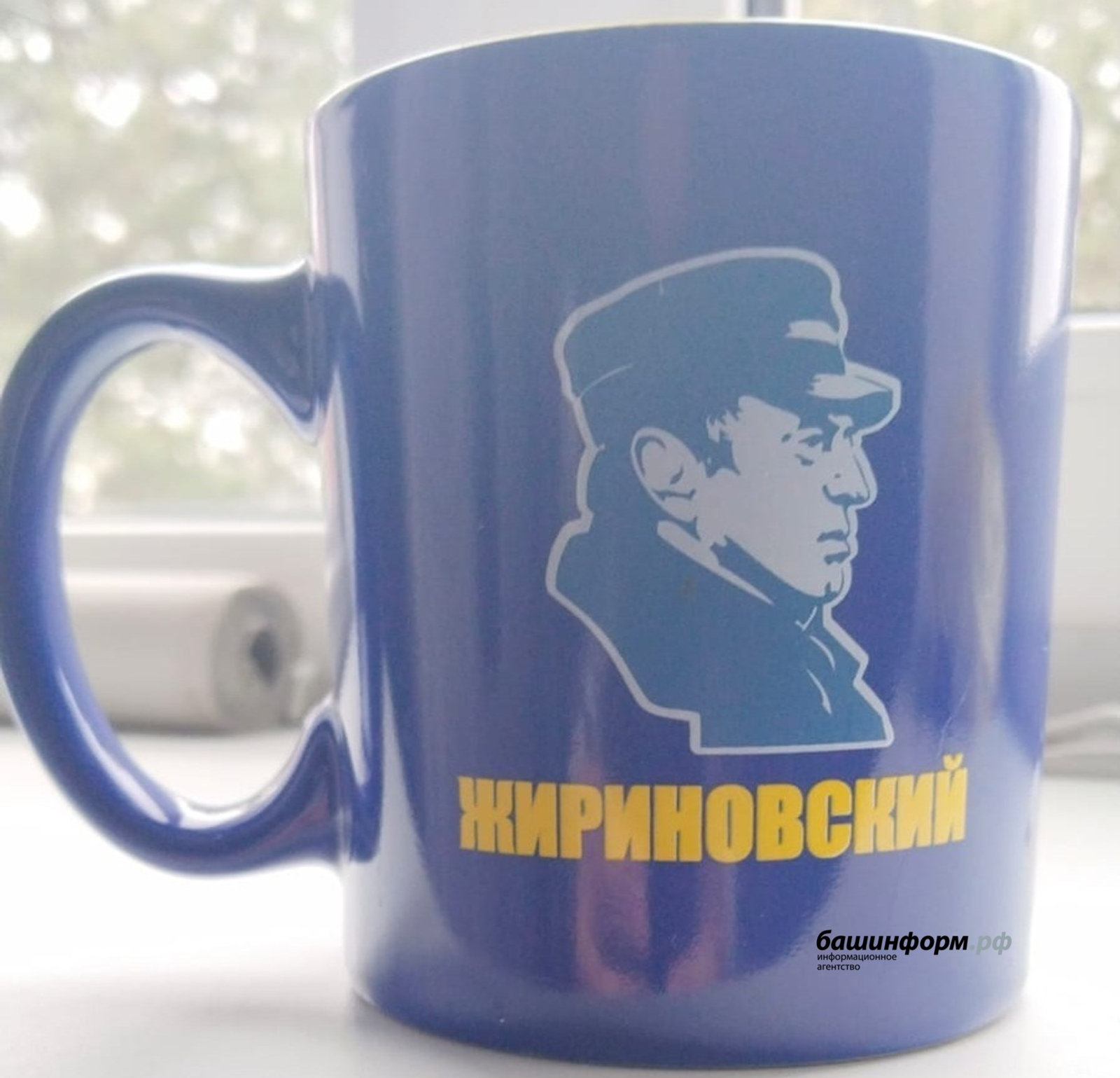 Улица в Уфе получит имя Владимира Жириновского