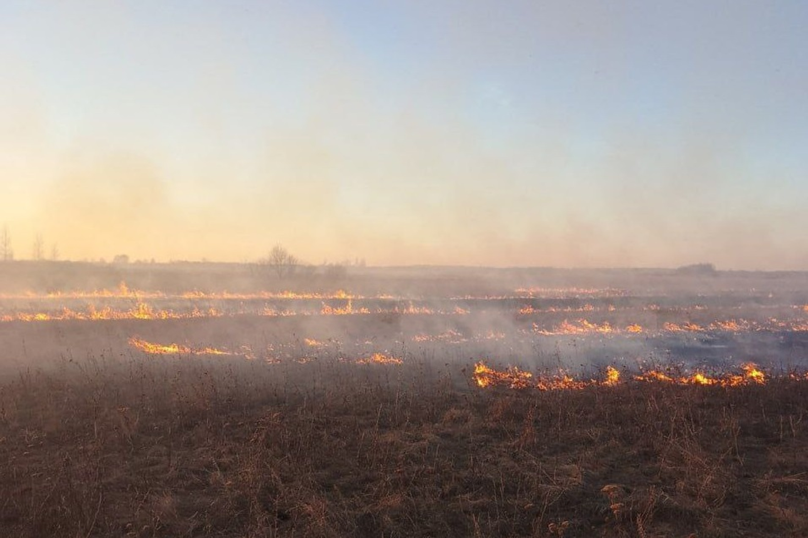 В Башкирии стартовали ландшафтные пожары