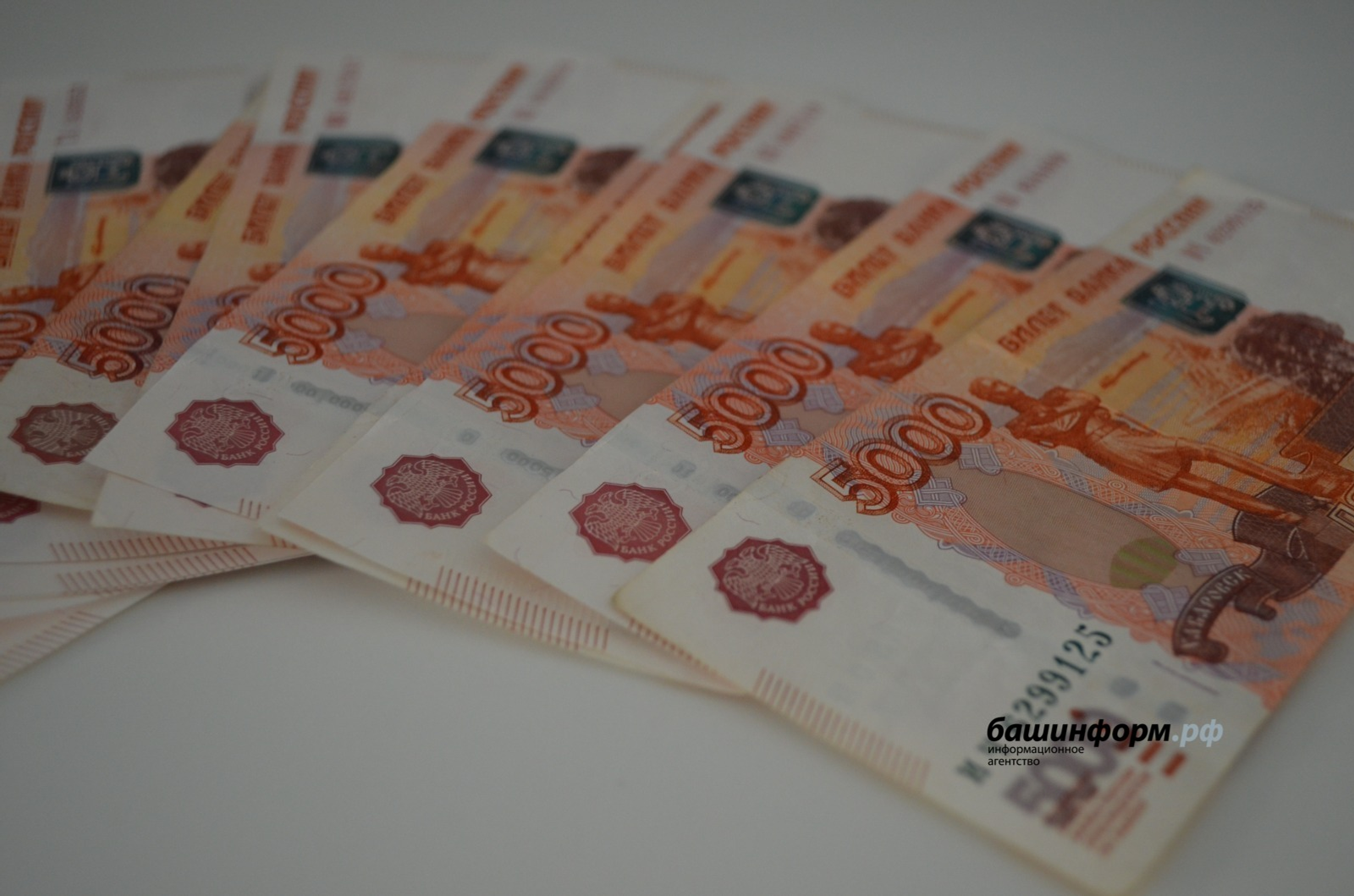 В Башкирии у вдовы участника СВО похитили деньги