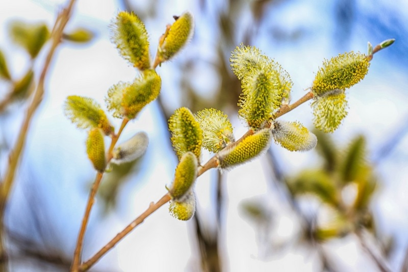 Погода в Башкирии: потепление до +17° и дождливая неделя