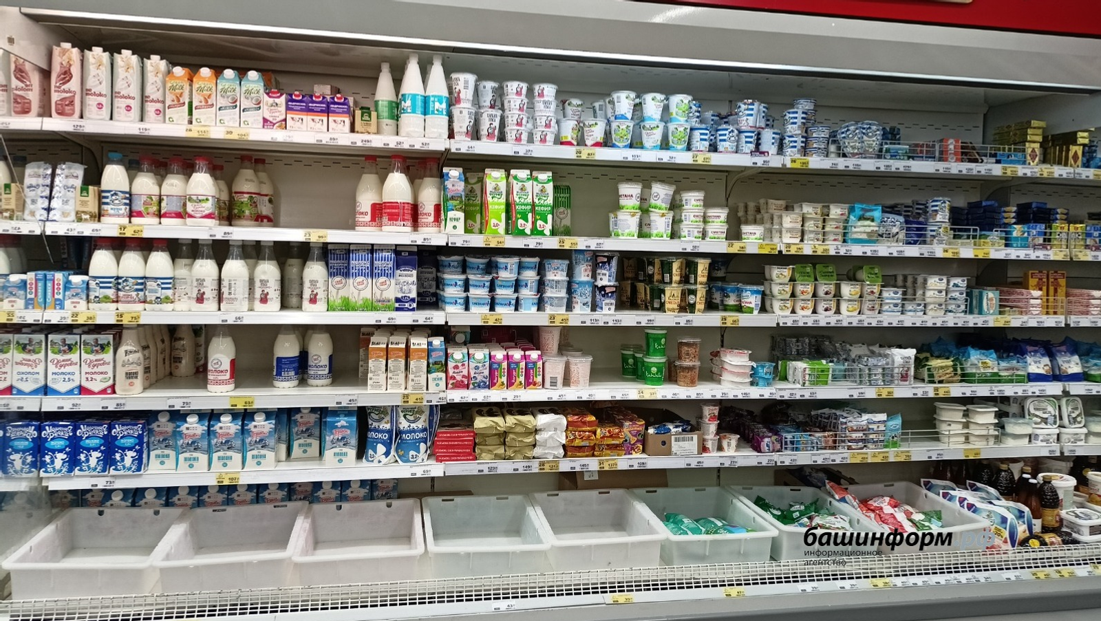 Лекарство в твороге: Россельхознадзор устроил проверку белорусской молочке