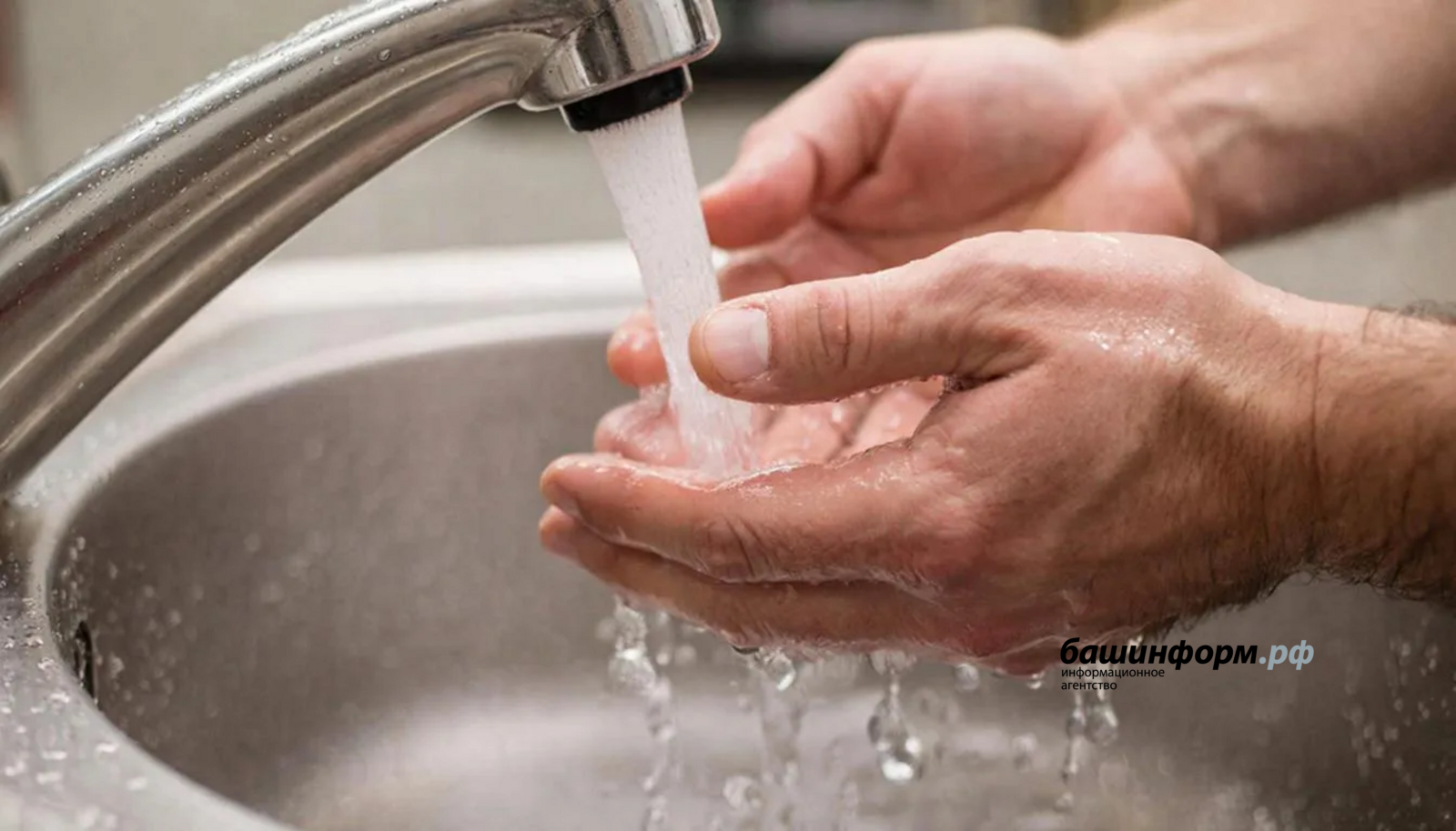 Летние опасности в Башкирии: как защитить себя от инфекций