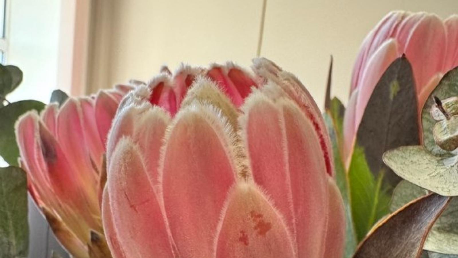 Праздничные выходные в Башкирии в марте: как отдыхаем