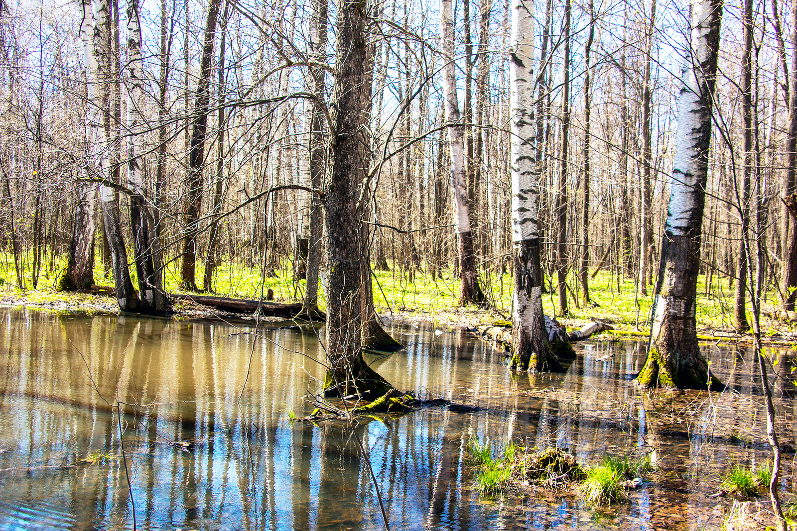 Синоптики рассказали о погоде в Башкирии на выходные: потеплеет до +5 градусов