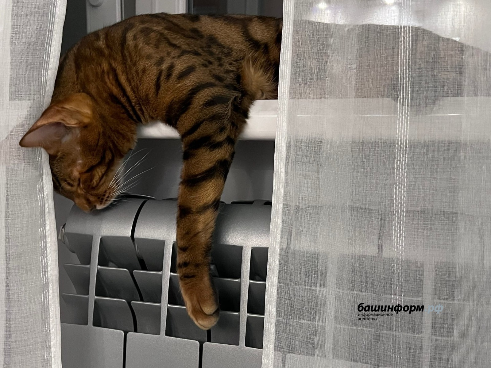 В Башкирии с годами сократился отопительный сезон