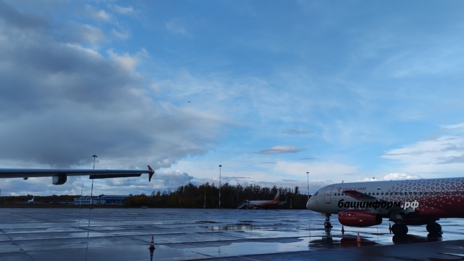 Революция в небе: что изменится для пассажиров с инвалидностью в аэропорту