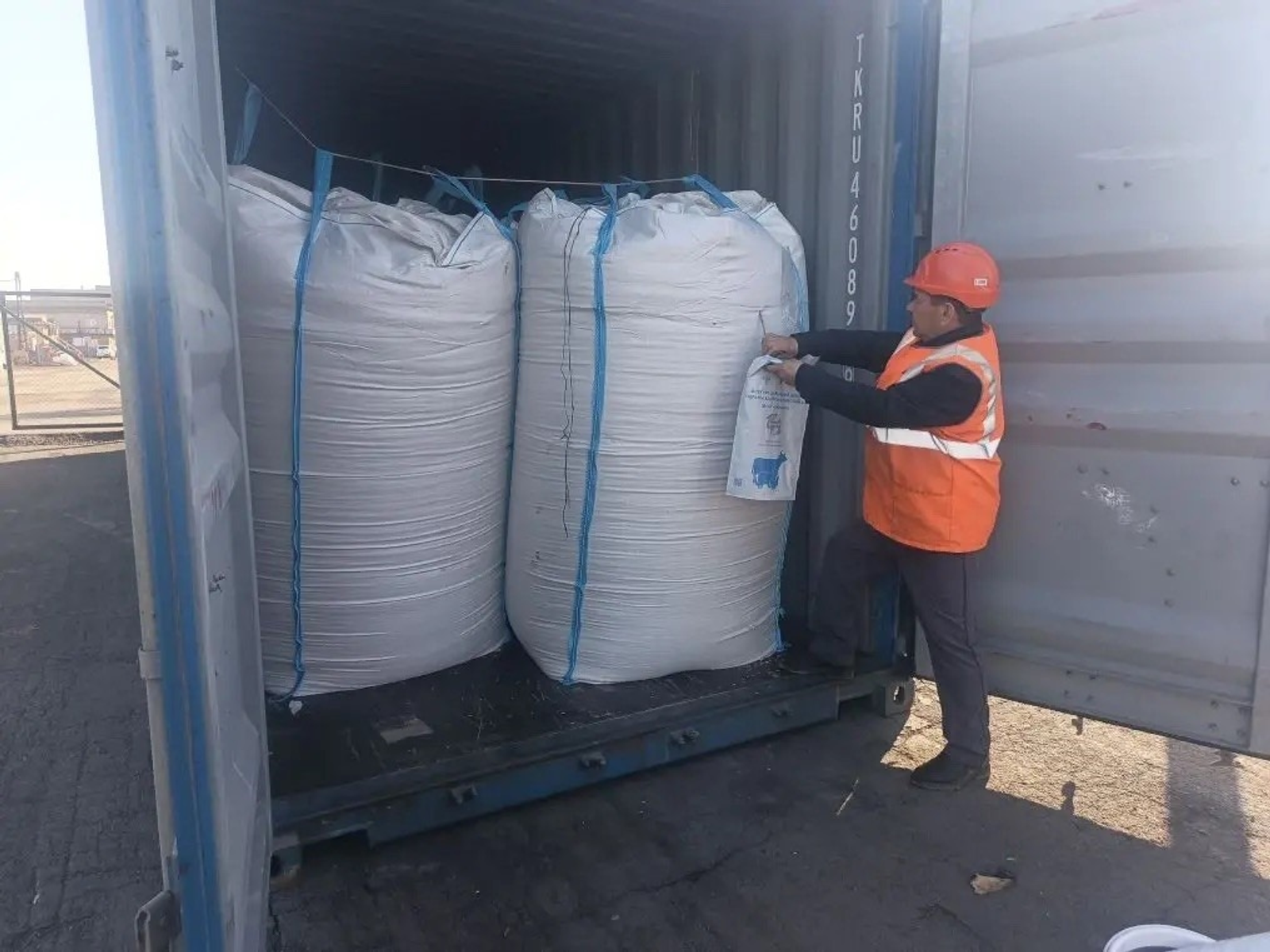 Башкирский овёс впервые отправился в Китай: регион расширяет экспорт