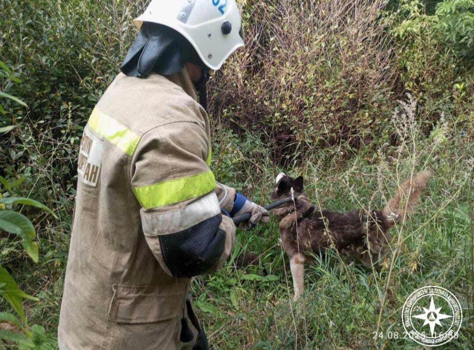 Спасатели в Башкирии успешно вызволили собаку, оказавшуюся в беде, из колодца