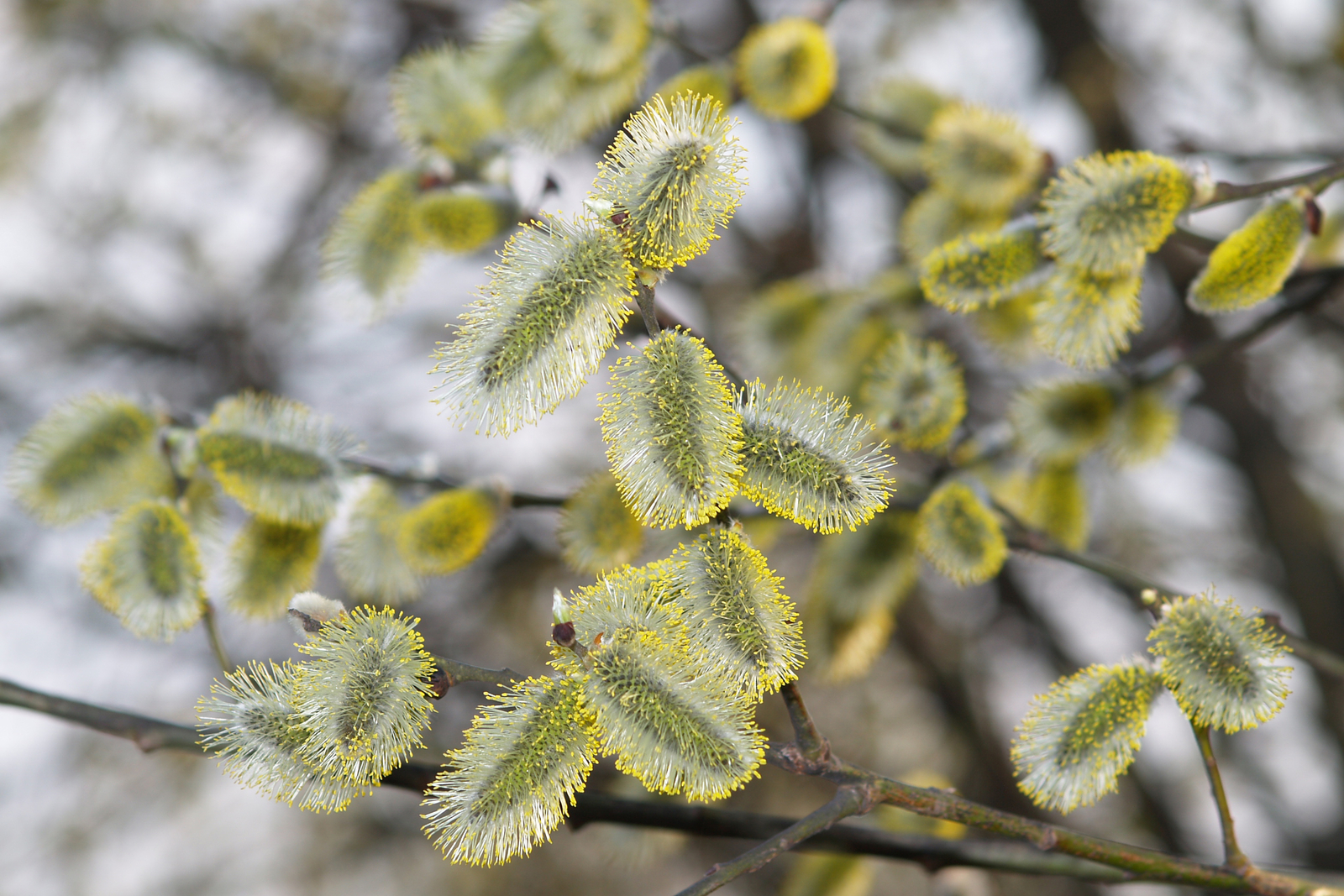 Синоптики предупредили об аномальном потеплении в Башкирии до +26 градусов