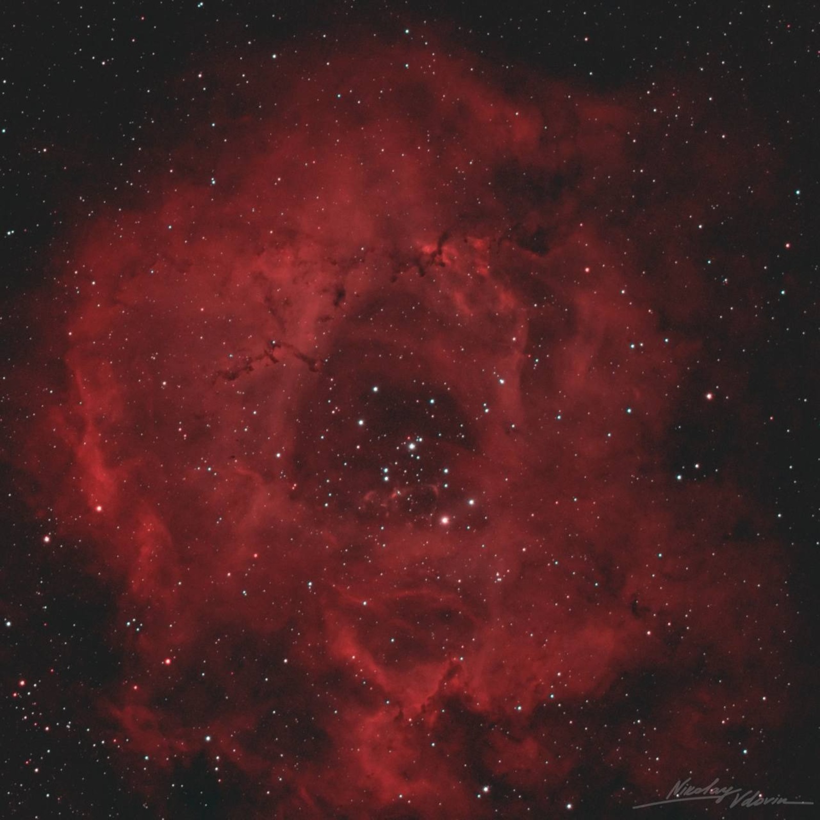 Цветы из космоса