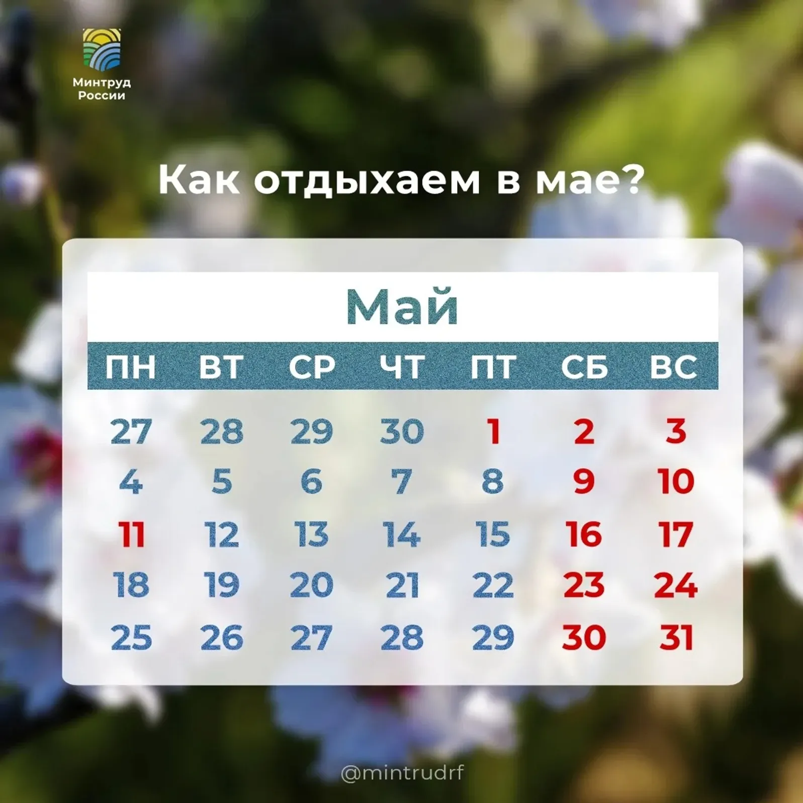 В Башкирии новая рабочая неделя будет короче, а выходные — длиннее