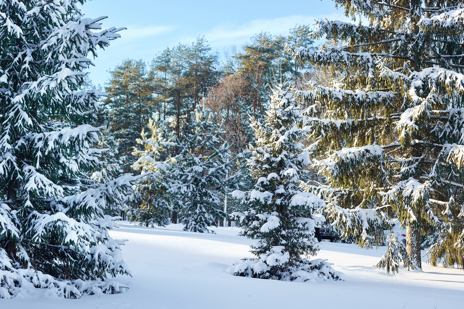 Крещенские морозы идут в Башкирию