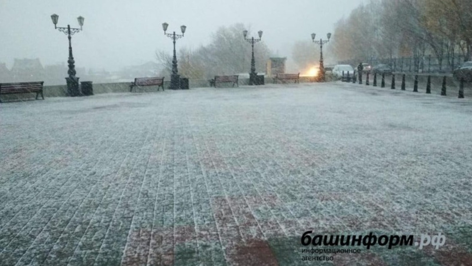 Снег и туман на дорогах: стоит ли сегодня отправляться в путь?