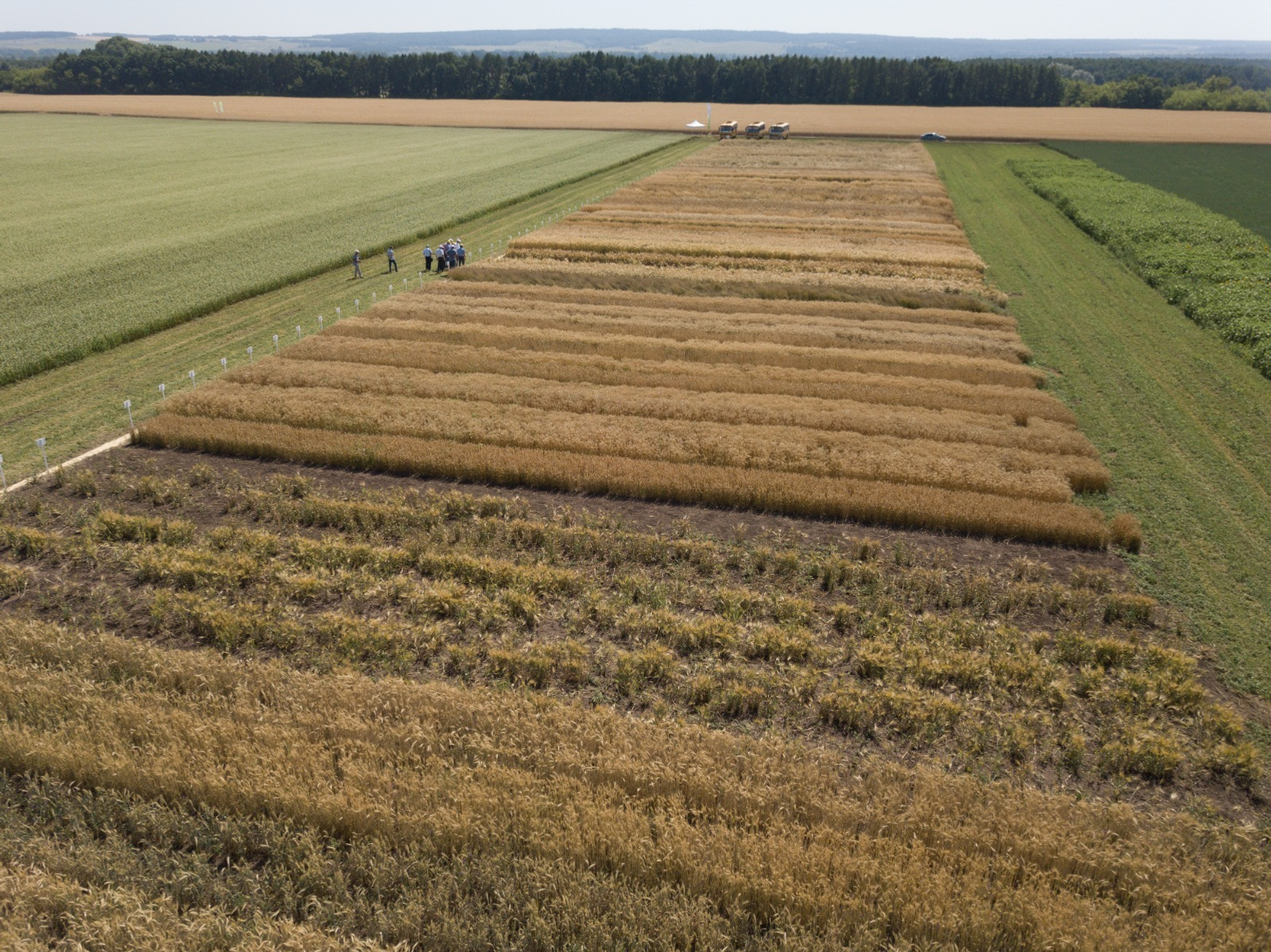 Озимые посевы Башкирии застрахованы